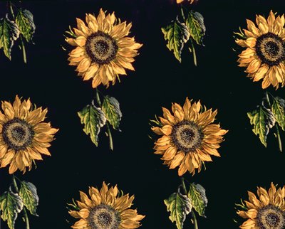 Velours au Sabre: Silk Decoration of Sunflowers by Maison Ogier and Duplan, Lyon 1894 by French School